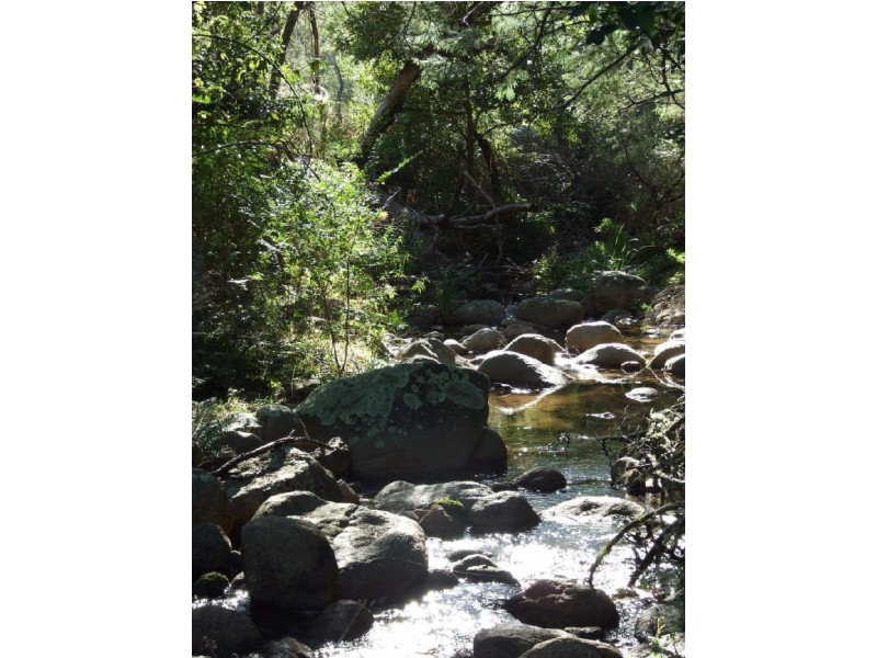 Candelo NSW 2550