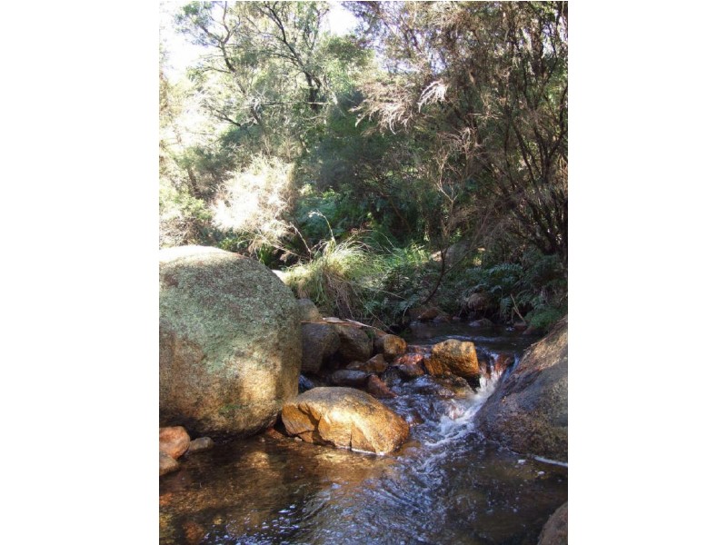 Candelo NSW 2550