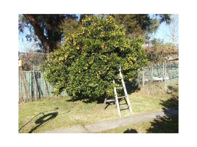 6 Gordon Street, Bega NSW 2550