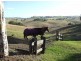 Bega NSW 2550