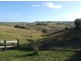 Bega NSW 2550