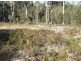 Lot 13 Shady Lane, Kalaru NSW 2550