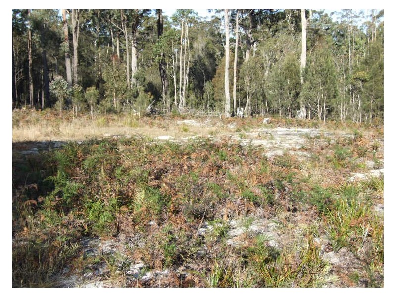 Lot 13 Shady Lane, Kalaru NSW 2550