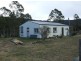 Wyndham NSW 2550