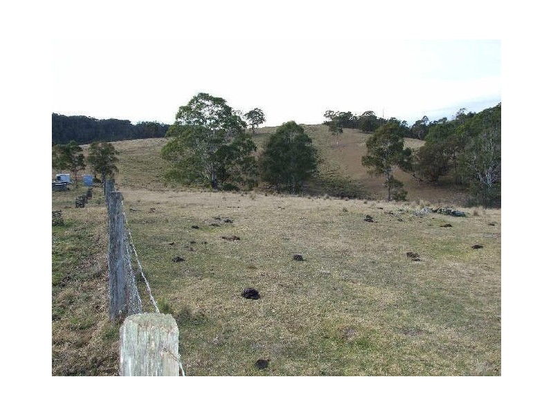 Wyndham NSW 2550