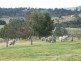 Brogo NSW 2550