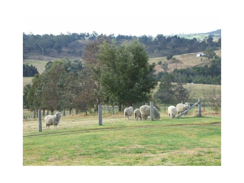 Brogo NSW 2550
