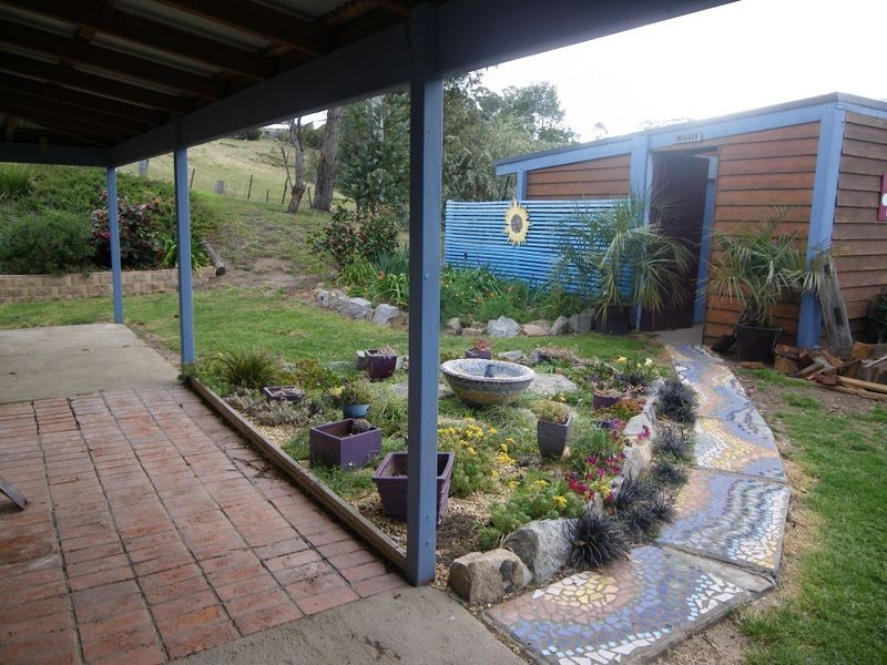 225 Daisy Hill Road, Bega NSW 2550
