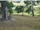 Lot 4 West Kameruka Road, Candelo NSW 2550