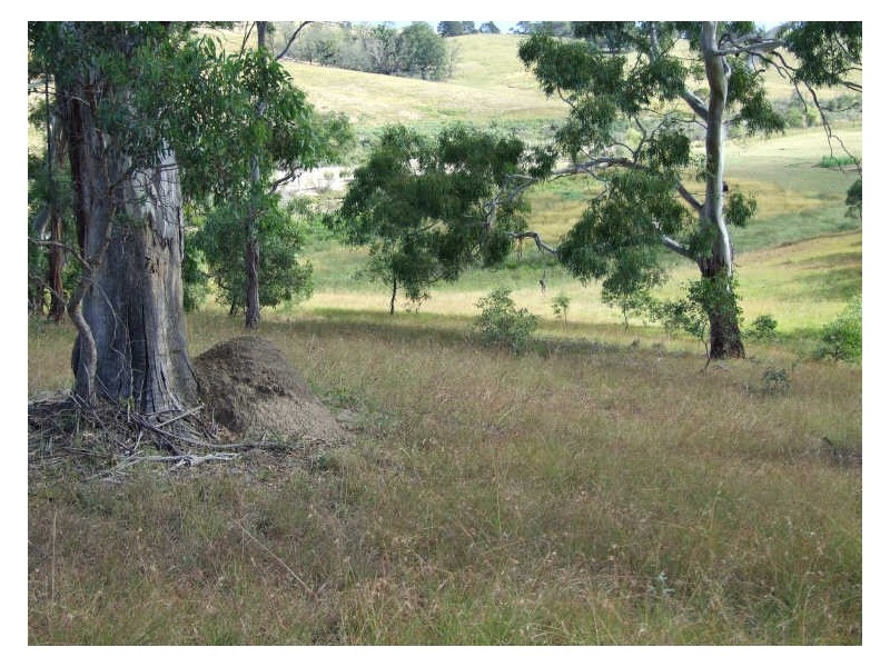 Lot 4 West Kameruka Road, Candelo NSW 2550