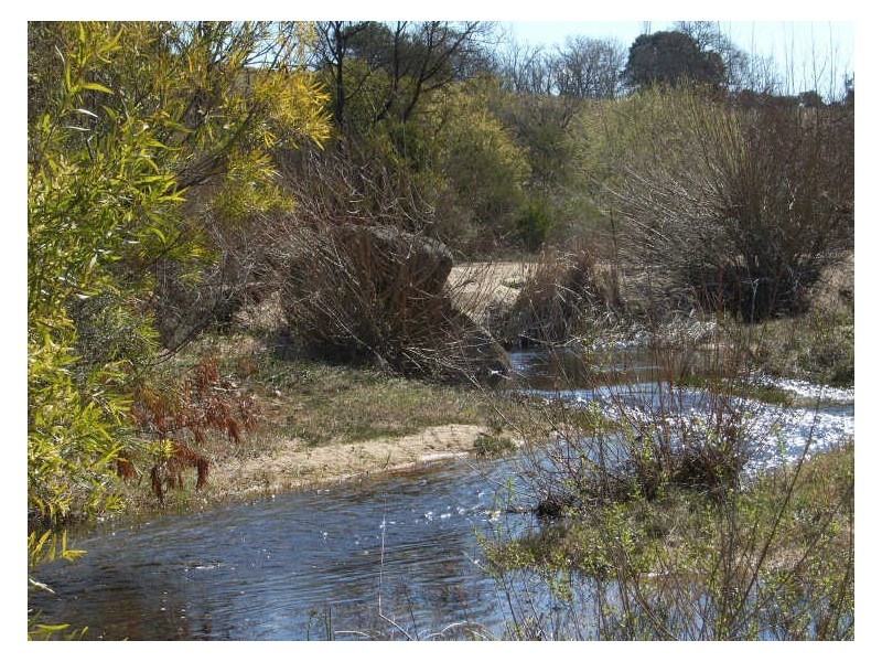 Lot 4 West Kameruka Road, Candelo NSW 2550