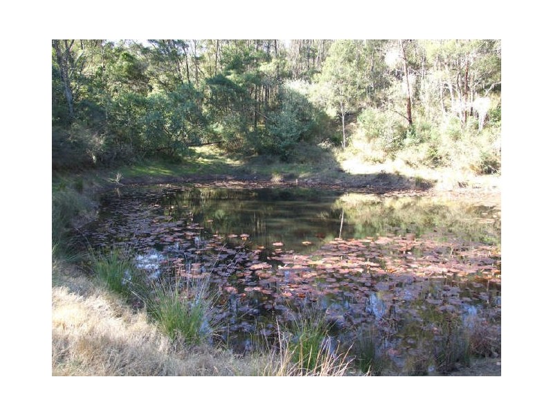 Bega NSW 2550