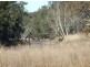 Bega NSW 2550