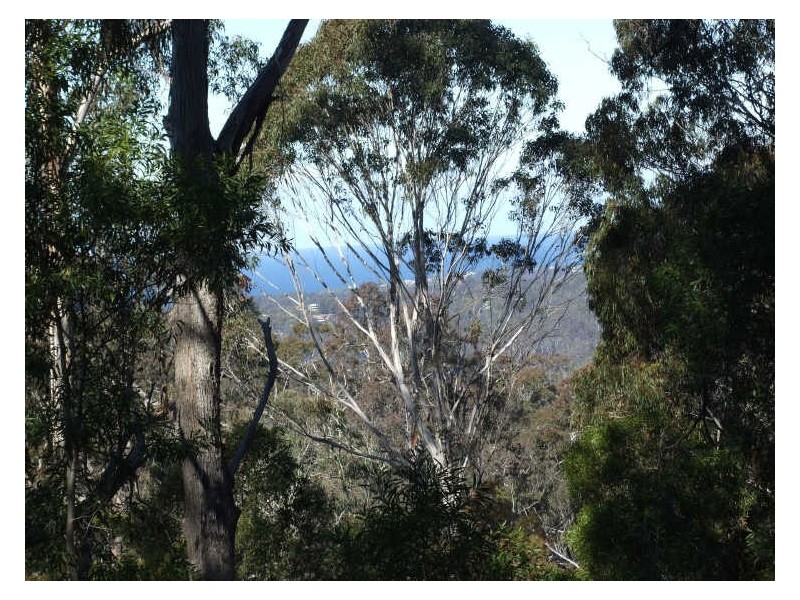 Lot 177 Vimy Ridge Road, Bega NSW 2550