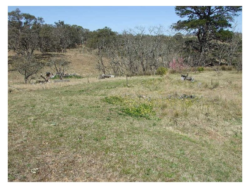 552 Niagra Lane, Candelo NSW 2550