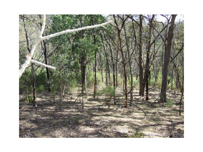 Candelo NSW 2550
