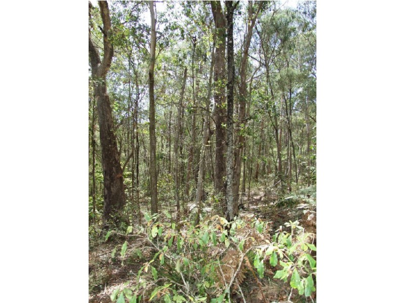 Bega NSW 2550