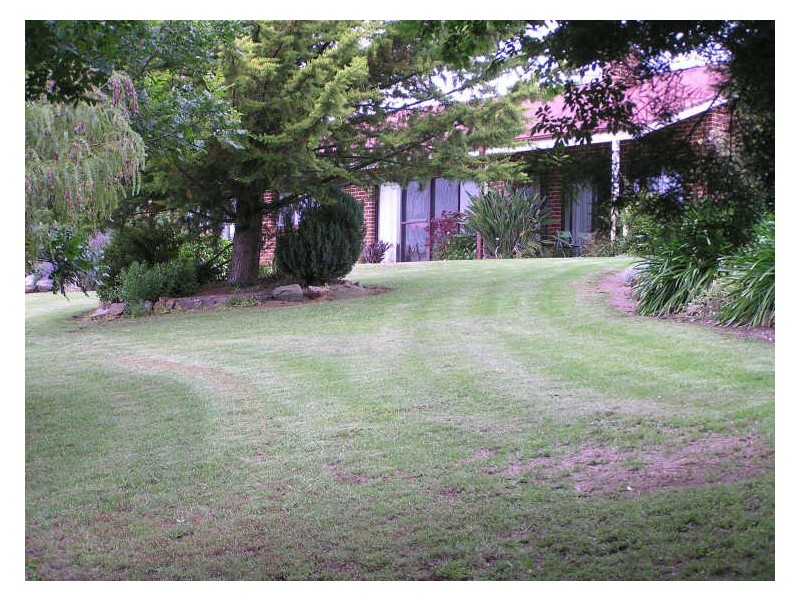 171 Brianderry Road, Bega NSW 2550