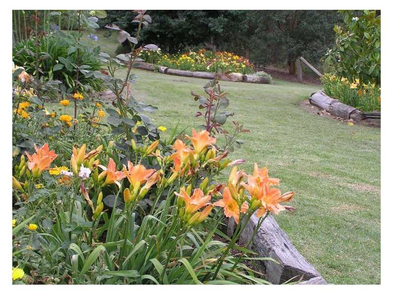 171 Brianderry Road, Bega NSW 2550
