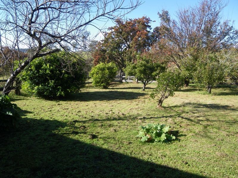 207 Murrabrine Lane, Cobargo NSW 2550