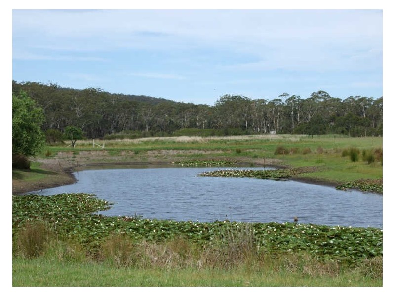 1480 Sapphire Coast Drive, Wallagoot NSW 2550