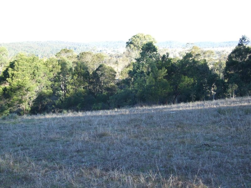 9860 Princess Highway, Cobargo NSW 2550