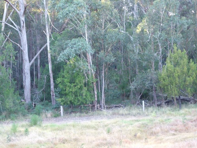 9860 Princess Highway, Cobargo NSW 2550