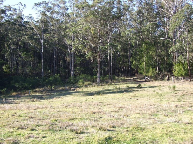 9860 Princess Highway, Cobargo NSW 2550