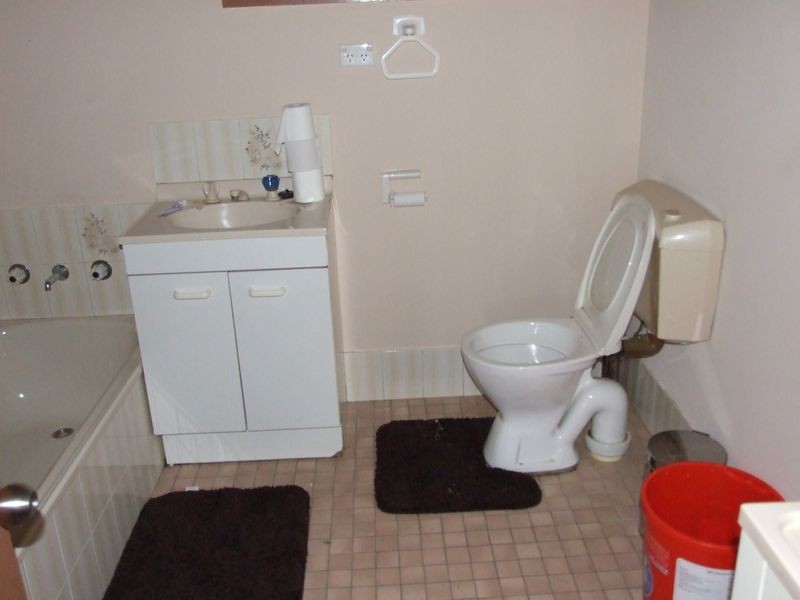 9860 Princess Highway, Cobargo NSW 2550