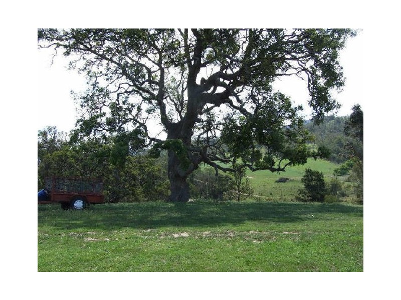Bega NSW 2550