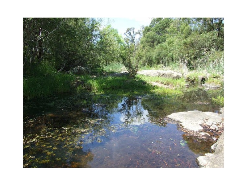 Bega NSW 2550