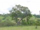 Bega NSW 2550