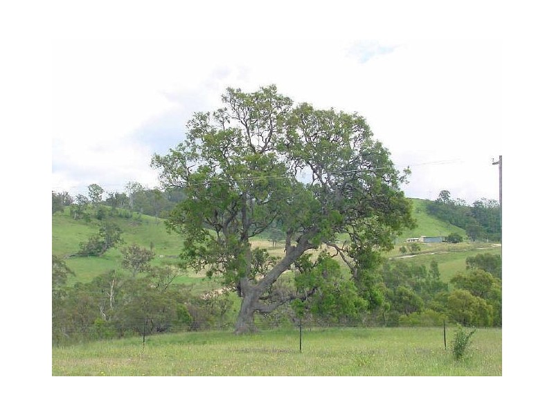 Bega NSW 2550