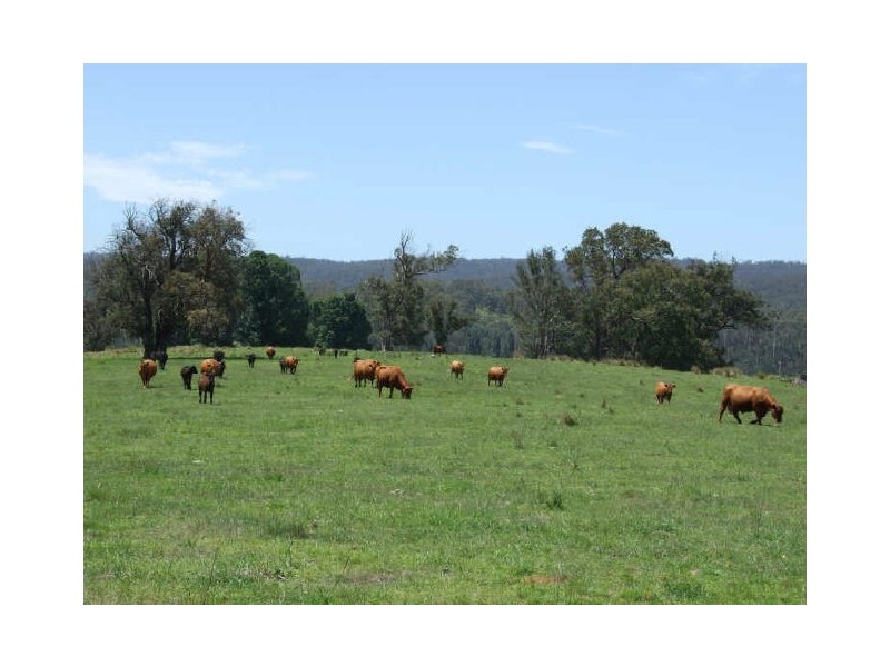 Quaama NSW 2550