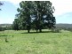 Quaama NSW 2550