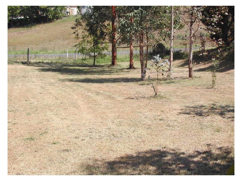 26 Kameruka Street, Bemboka NSW 2550