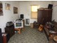 Bega NSW 2550
