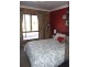 Bega NSW 2550