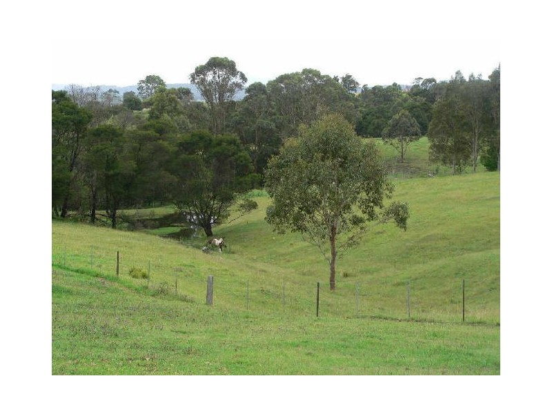 Brogo NSW 2550