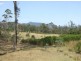 Wolumla NSW 2550