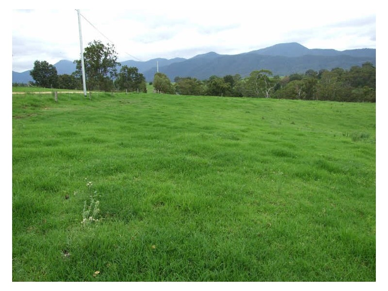 Lot 102 Oliver Street, Bemboka NSW 2550