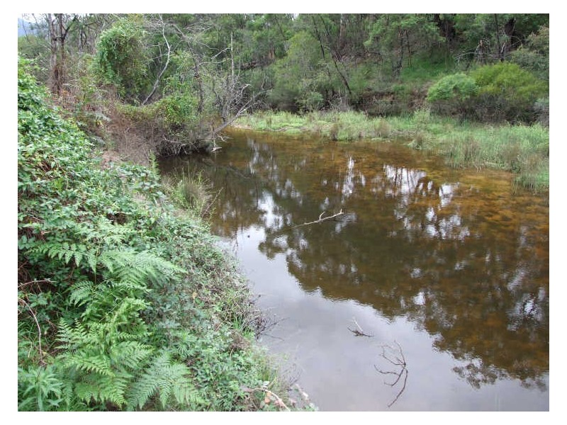 Lot 102 Oliver Street, Bemboka NSW 2550