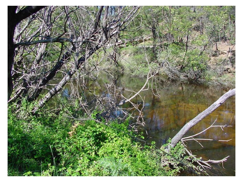 Lot 102 Oliver Street, Bemboka NSW 2550