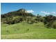 “Lustleigh Park”/90 Sherringham Lane, Central Tilba NSW 2546