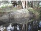Applegum Grove/11171 Princes Hwy, Cobargo NSW 2550