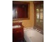 Applegum Grove/11171 Princes Hwy, Cobargo NSW 2550