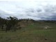 Bega NSW 2550