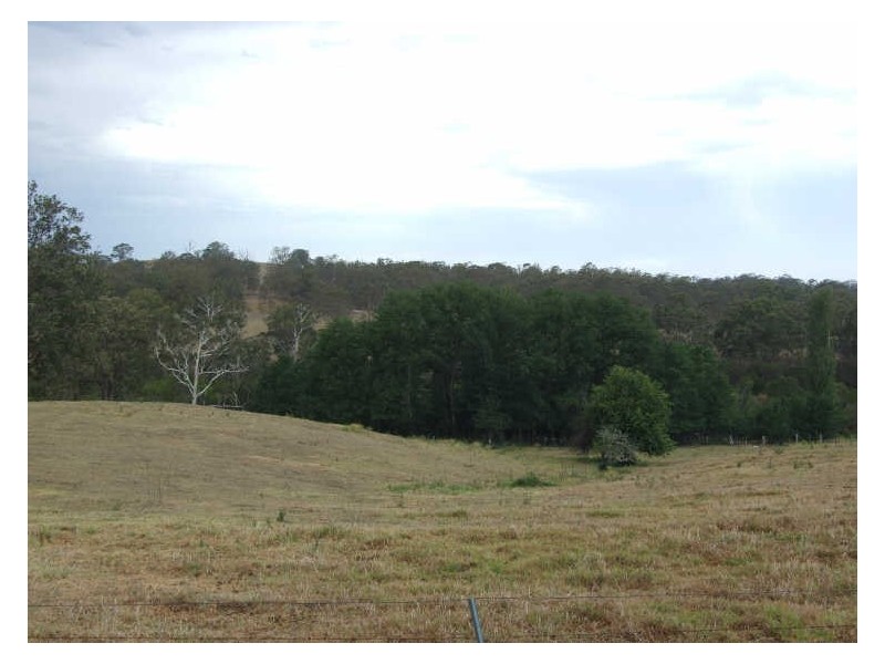 Various @ Robertson Street, Bemboka NSW 2550