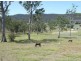 Wolumla NSW 2550