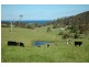 “Lustleigh Park”/90 Sherringham Lane, Central Tilba NSW 2546